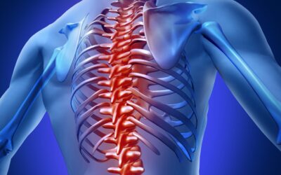 ALLEGGERIAMO IL CARICO!” PREVENZIONE DELLE PROBLEMATICHE MUSCOLO SCHELETRICHE